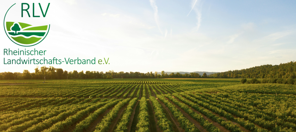 Werkstudent  Öffentlichkeitsarbeit (m/w/d), 1. Bild